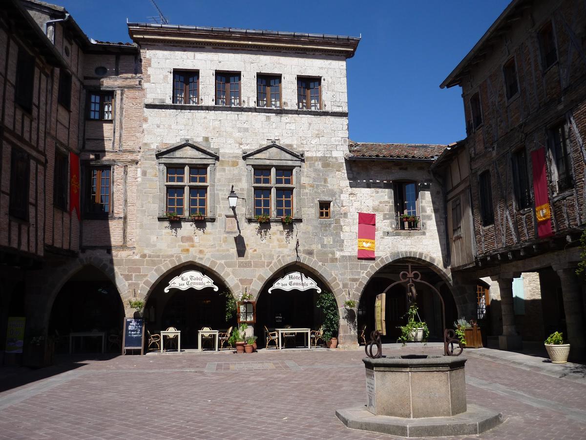 Hotel Des Consuls Castelnau-de-Montmiral Exterior photo